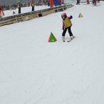 phoca_thumb_m_lye zvody 95 Fotogalerie